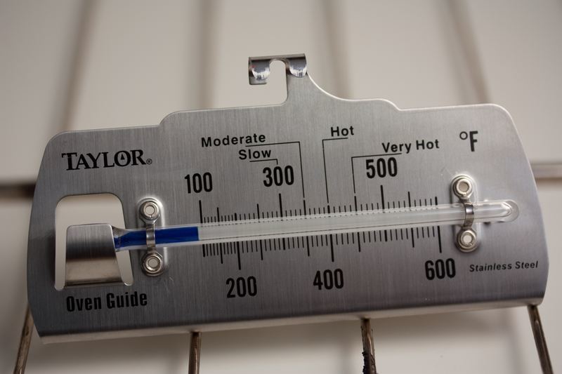 Oven Thermometer: Do You Need One?