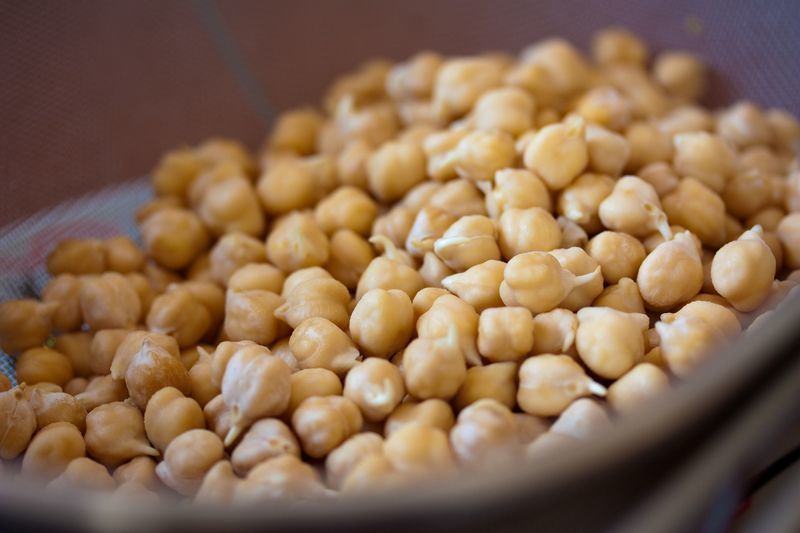 Sprouted chickpeas