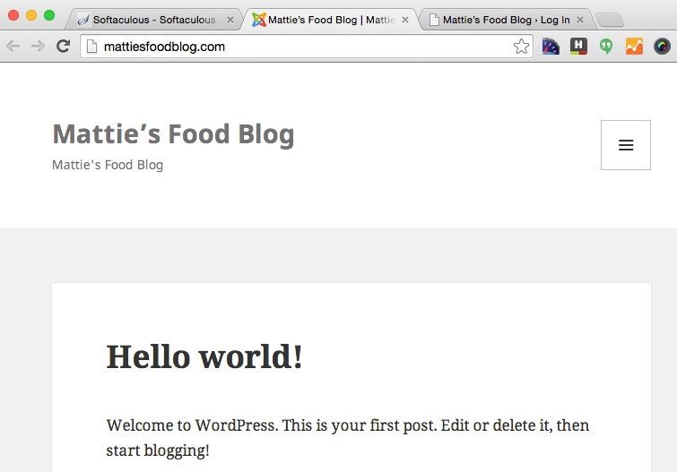 How to start a food blog - WordPress url